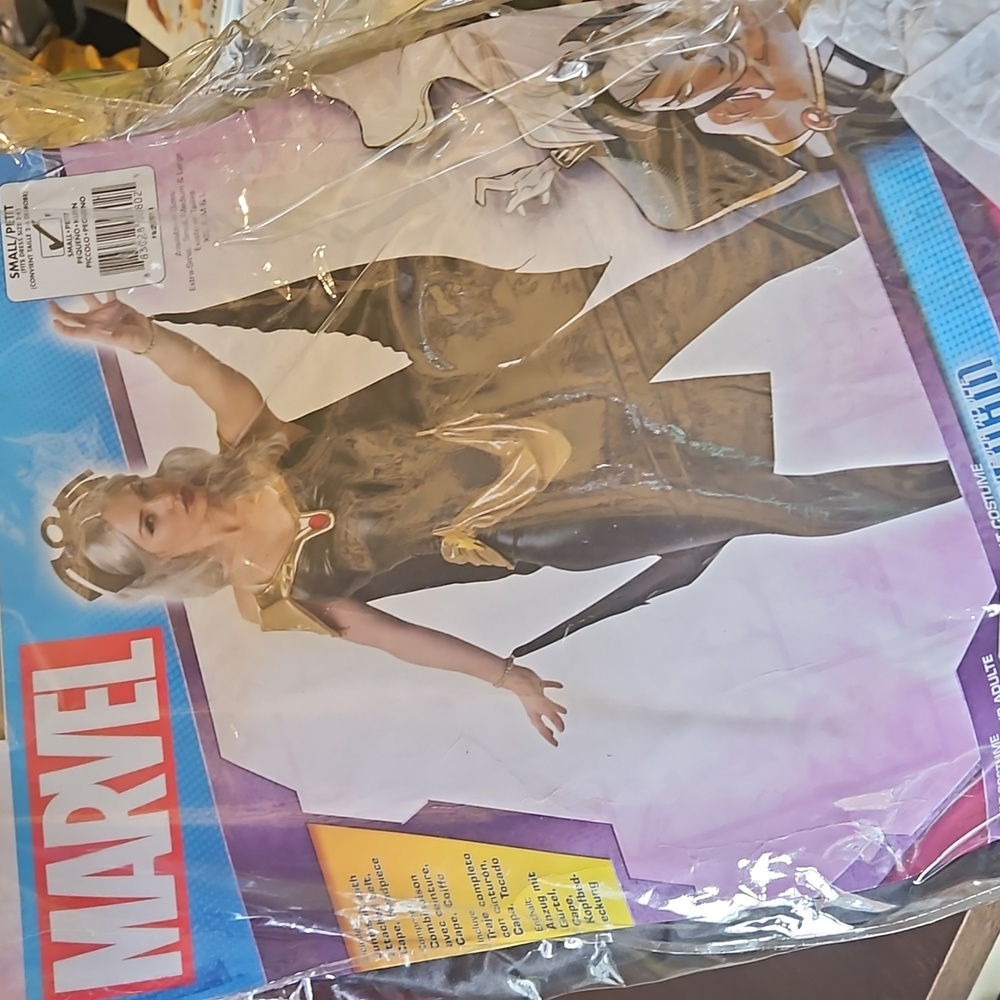 Storm costume